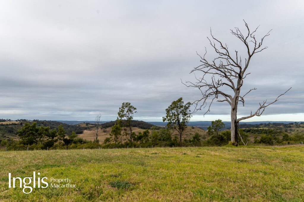 16 Westminster Place, RAZORBACK, NSW 2571