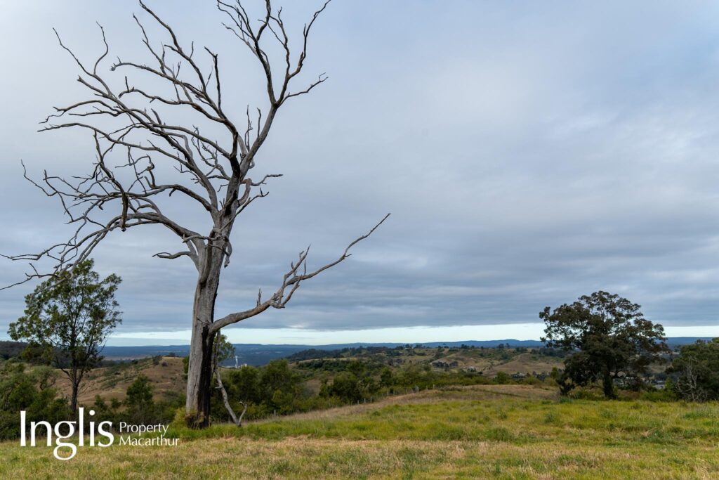16 Westminster Place, RAZORBACK, NSW 2571