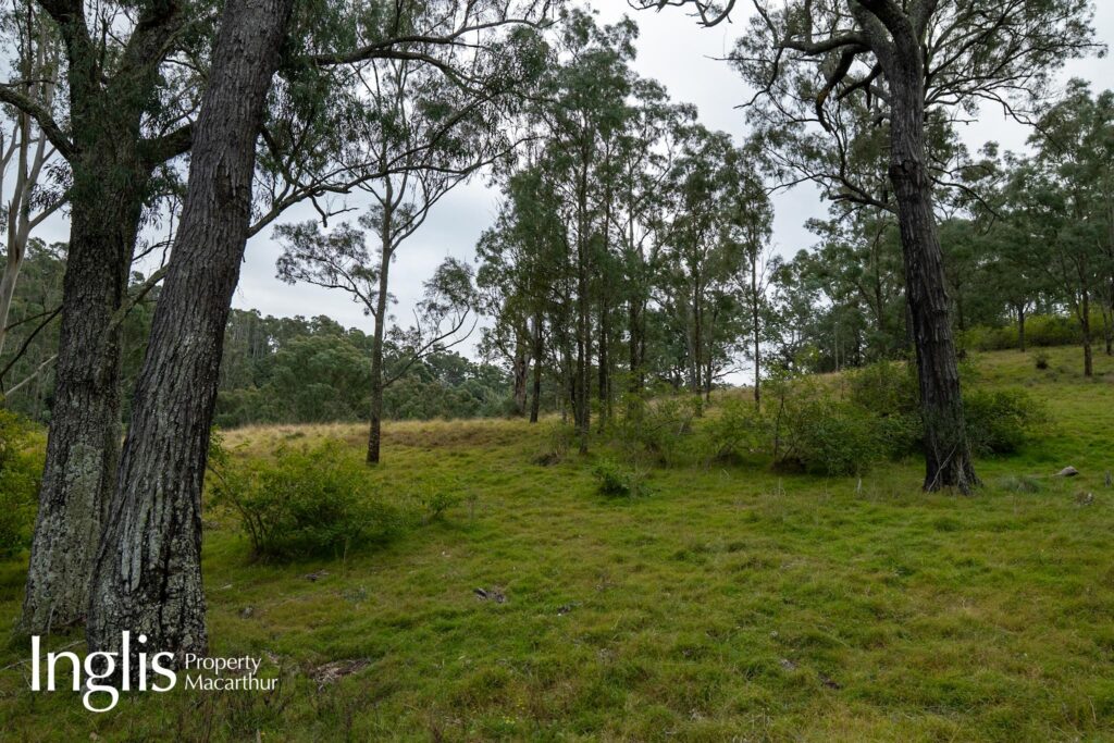 16 Westminster Place, RAZORBACK, NSW 2571