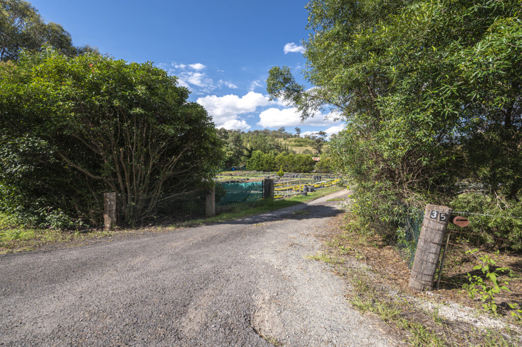 35 Camden Road, DOUGLAS PARK, NSW 2569