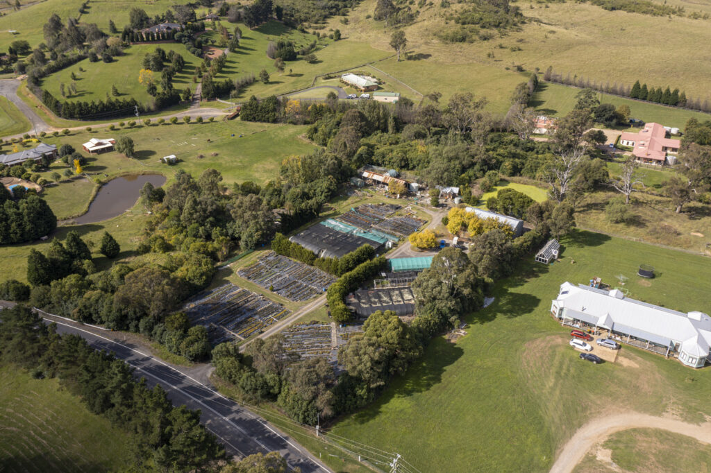 35 Camden Road, DOUGLAS PARK, NSW 2569