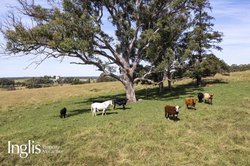 ‘Windsor Lodge’ 725 Wilton Road, APPIN, NSW 2560