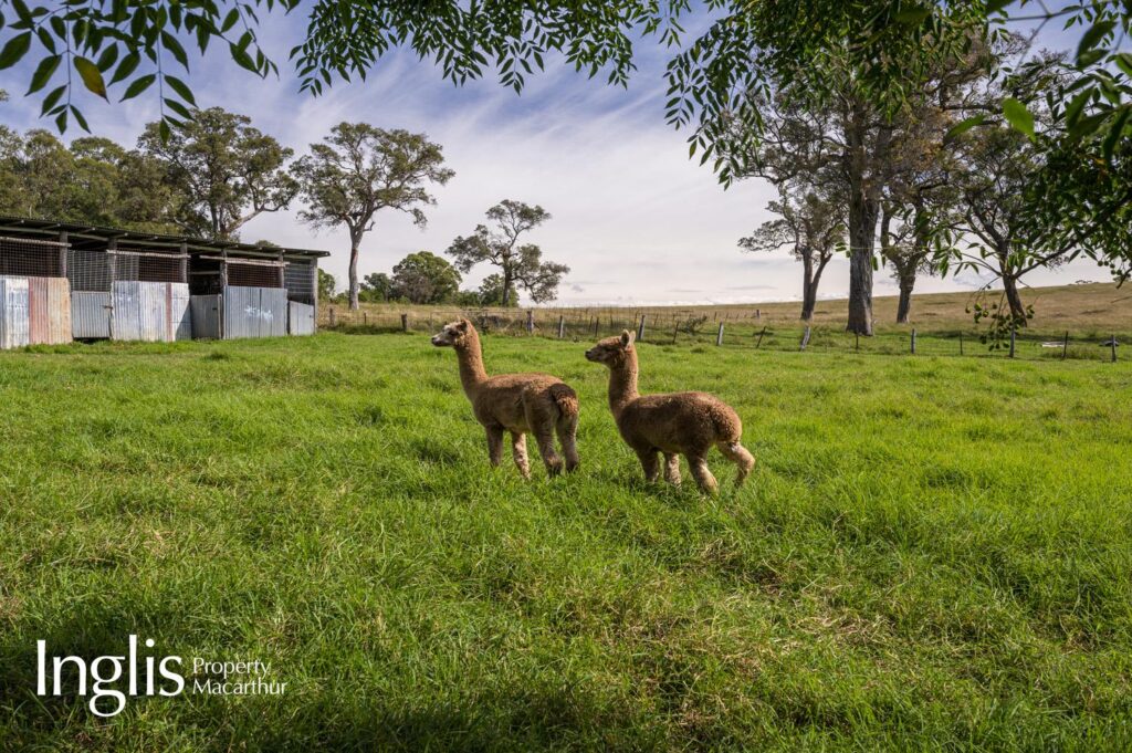 ‘Windsor Lodge’ 725 Wilton Road, APPIN, NSW 2560