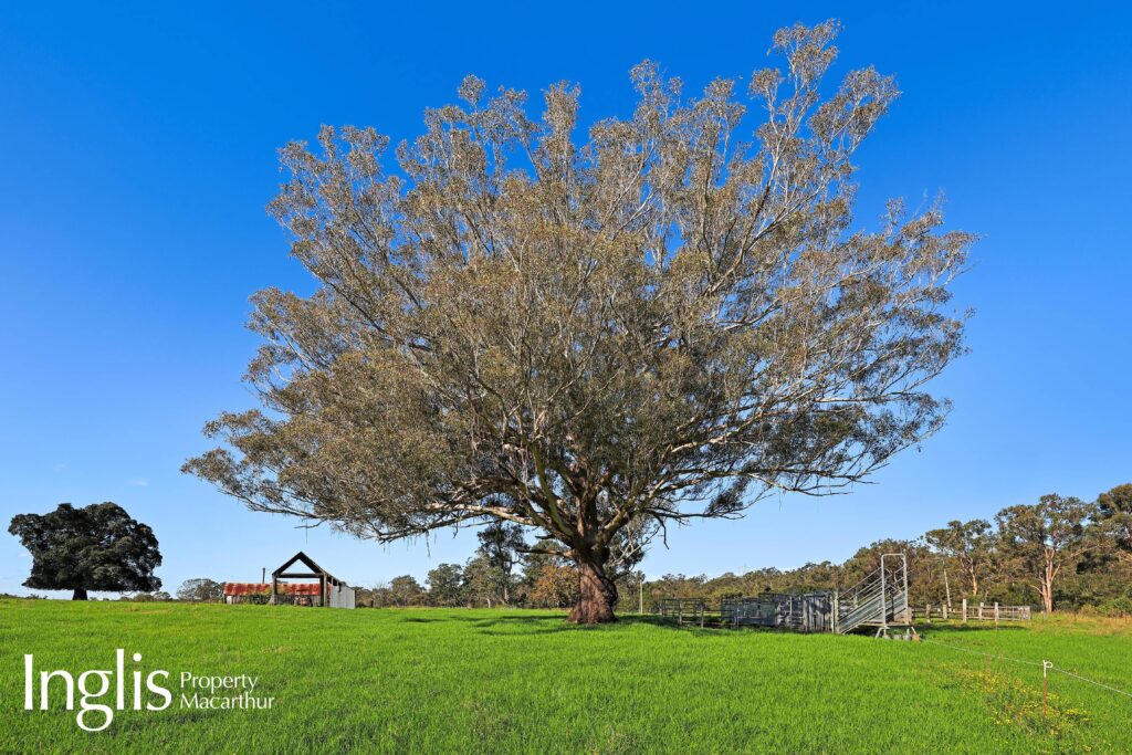 Lot 1 Burragorang Road, THE OAKS, NSW 2570