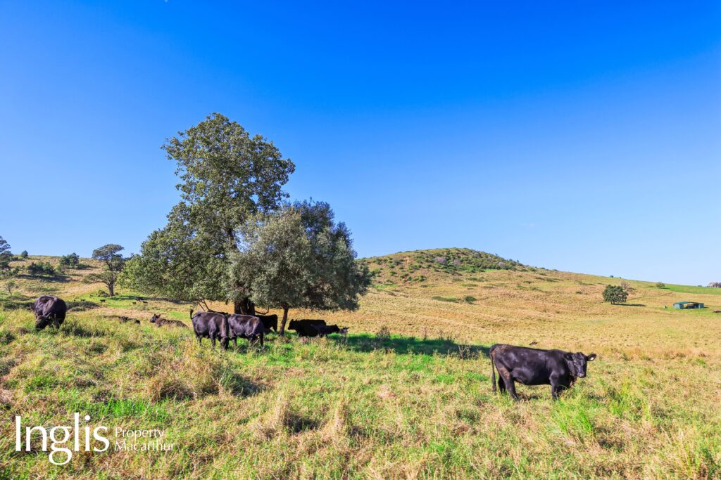 Lot 1 Burragorang Road, THE OAKS, NSW 2570