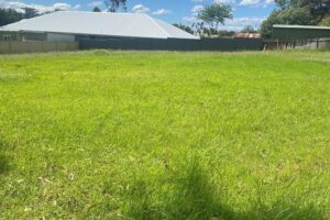 23 Burragorang Street, THE OAKS, NSW 2570