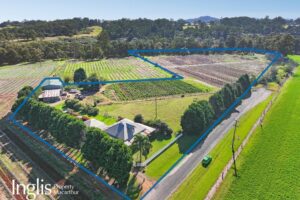 309 Ellis Lane, ELLIS LANE, NSW 2570