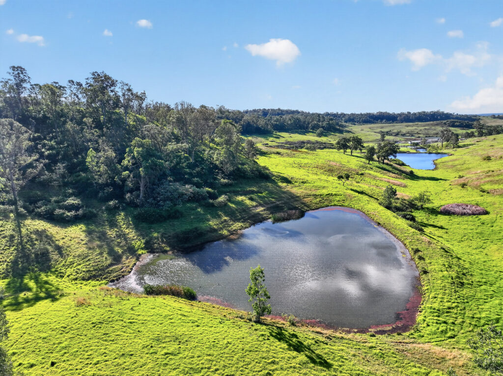 680 Burragorang Road, THE OAKS, NSW 2570