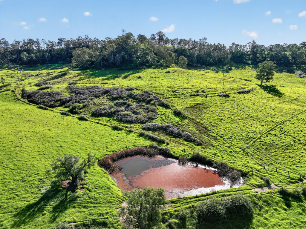 680 Burragorang Road, THE OAKS, NSW 2570